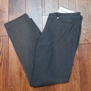 Loft dress pant